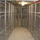 internal chain mesh cages with separate doors